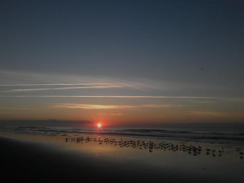 Kiawah Sunrise