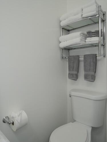 Toilet and Towel Rack